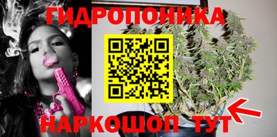 гидра Кулебаки