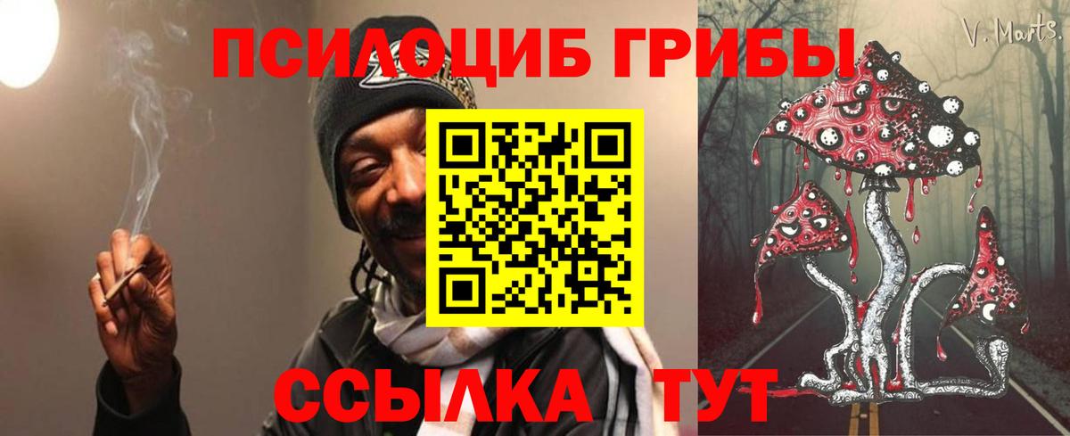 Псилоцибиновые грибы Psilocybine cubensis  Псилоцибиновые грибы GOLDEN TEACHER  Вход с VPN  Владивосток 